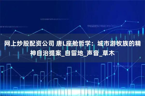 网上炒股配资公司 唐L座舱哲学：城市游牧族的精神自治提案_自留地_声音_草木